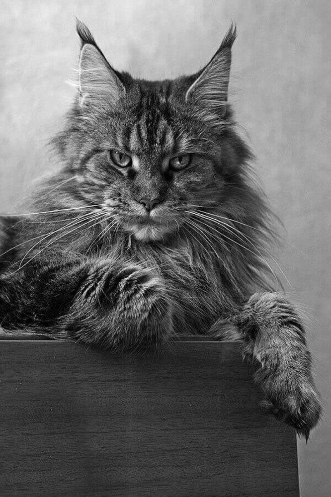 Photograph by Dmitriy Kodolov