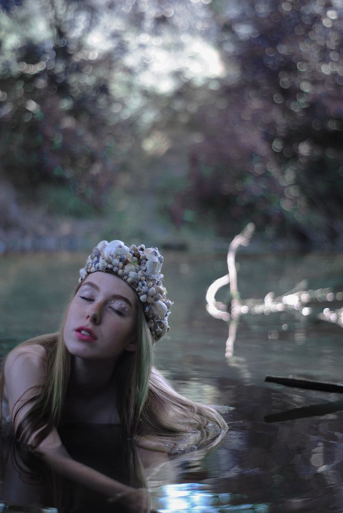 Photo #4976534