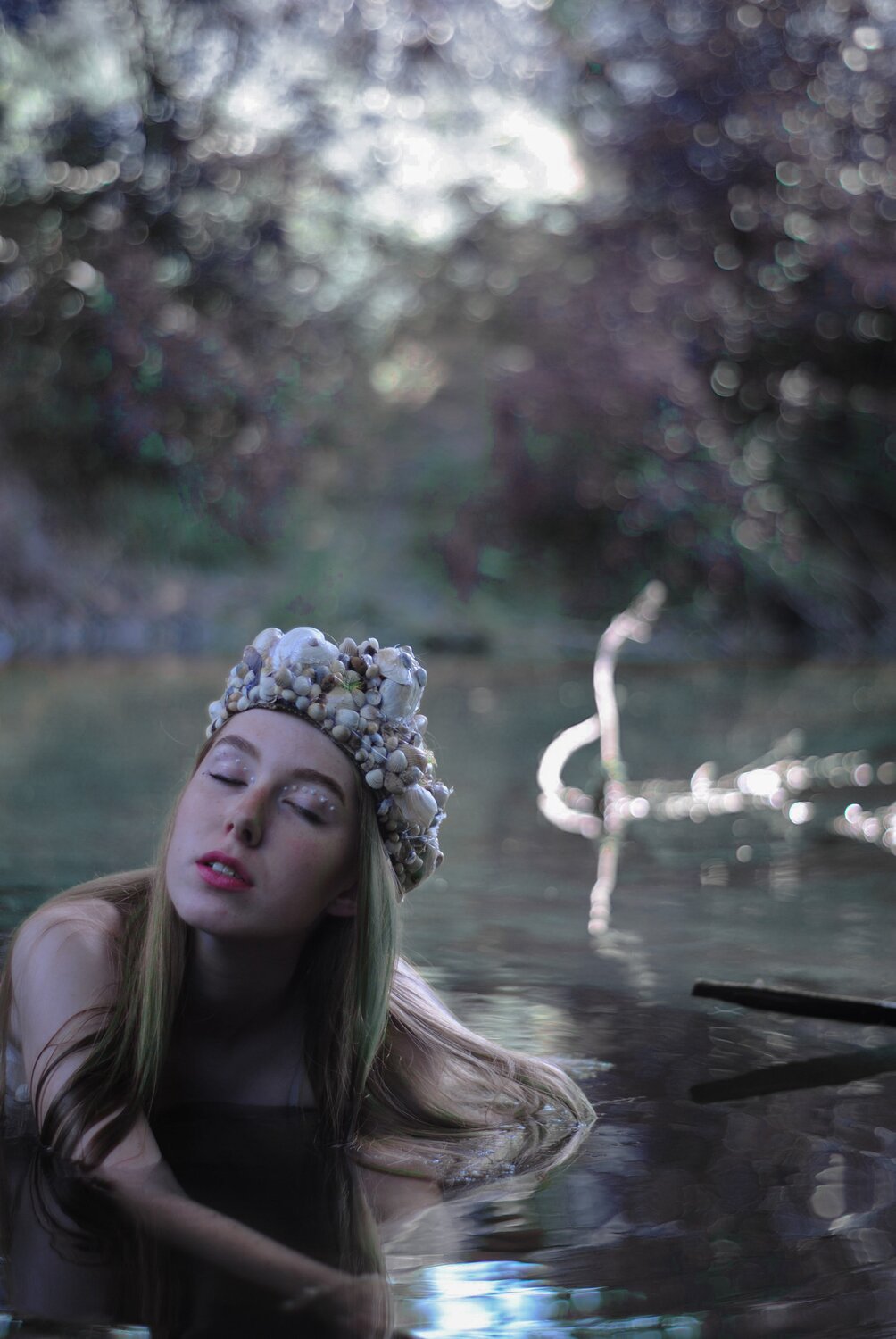 Photo #4976534