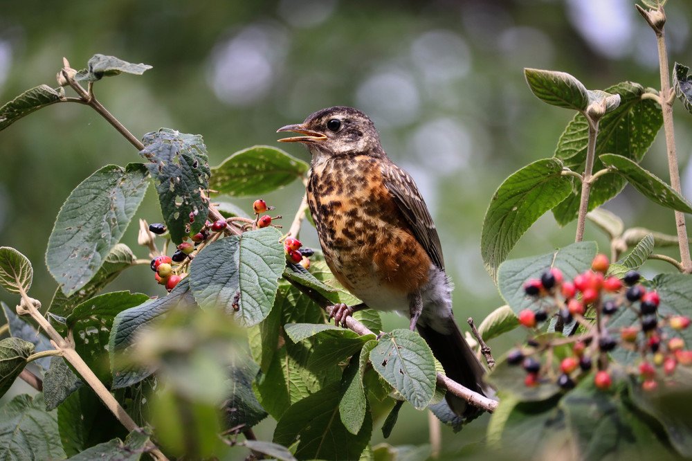 Photograph by Olga Vasina