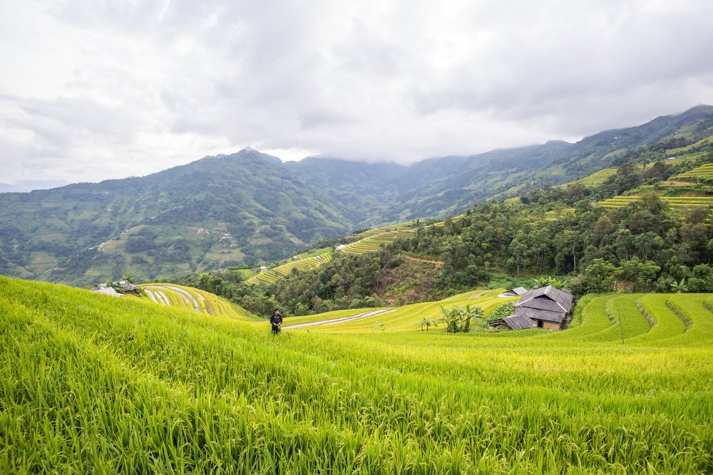 Photograph by Nguyen Hoa Hoc
