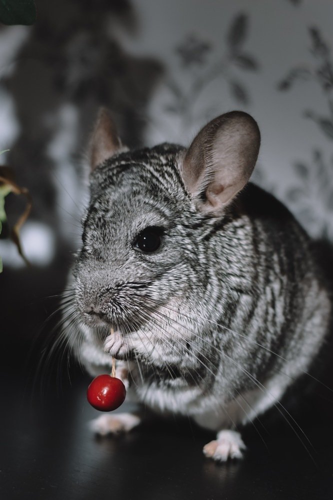 Photograph by Ксения Поташова