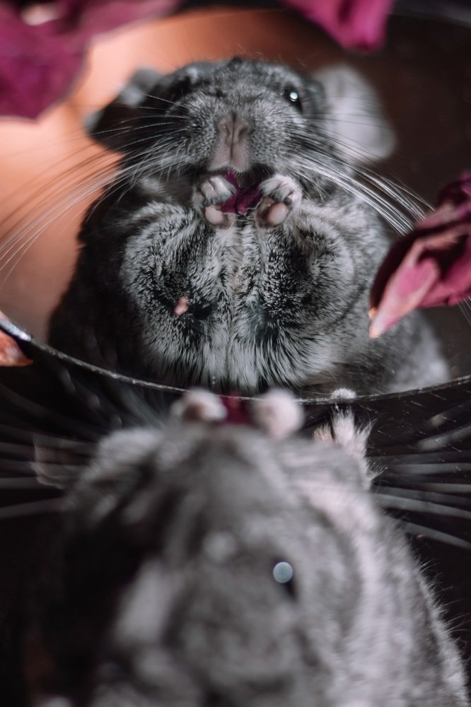 Photograph by Ксения Поташова