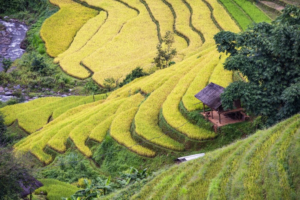 Photograph by Nguyen Hoa Hoc