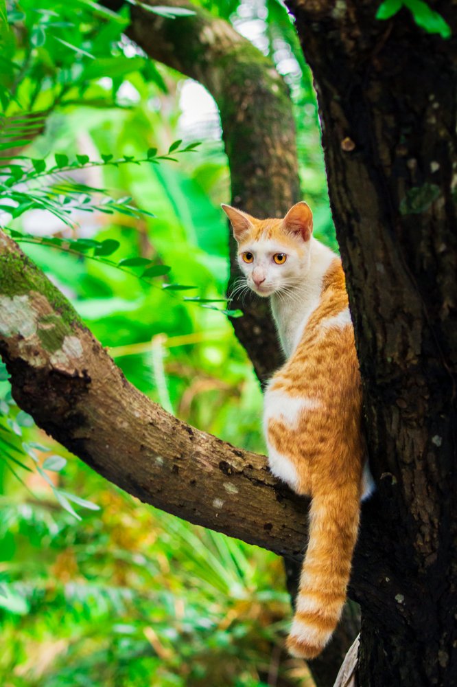 Chilling in the green