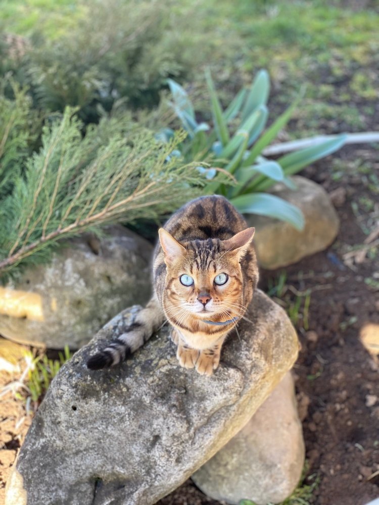 Photograph by Екатерина Амирасланова