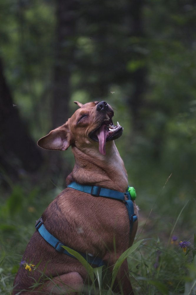 Photograph by Светлана Алексеева