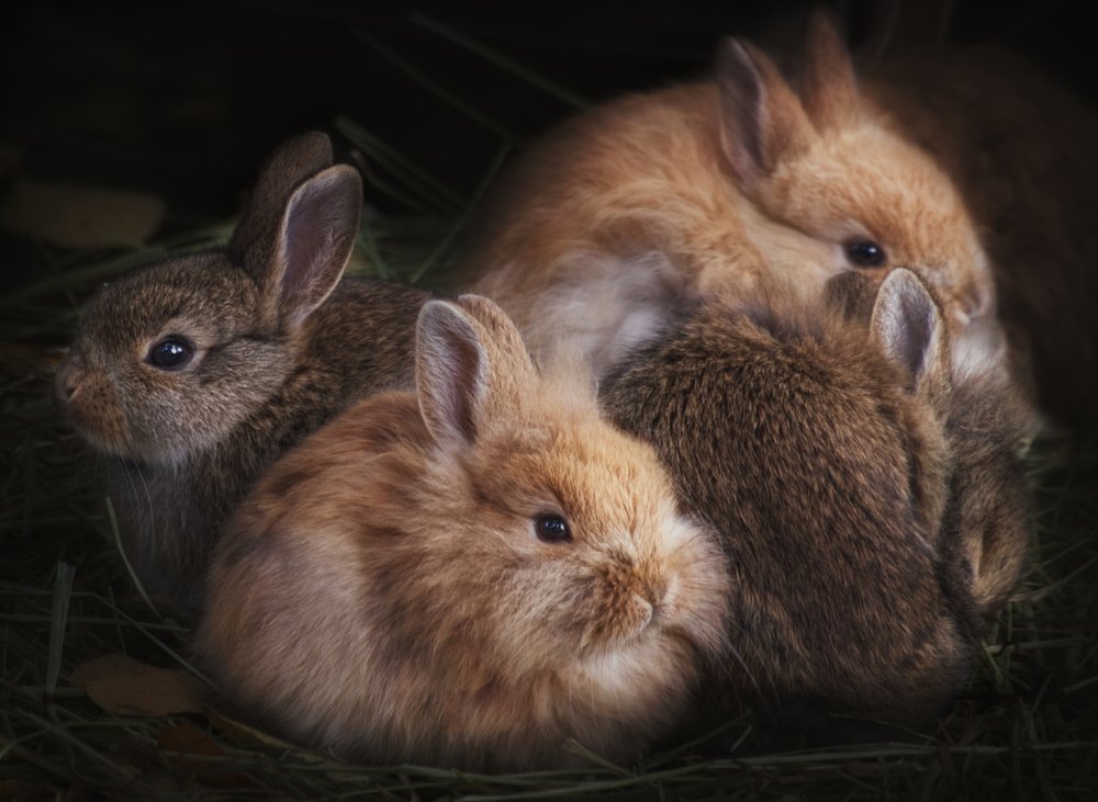 Photograph by Светлана Алексеева