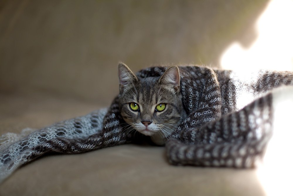 Photograph by Наталья Чиж