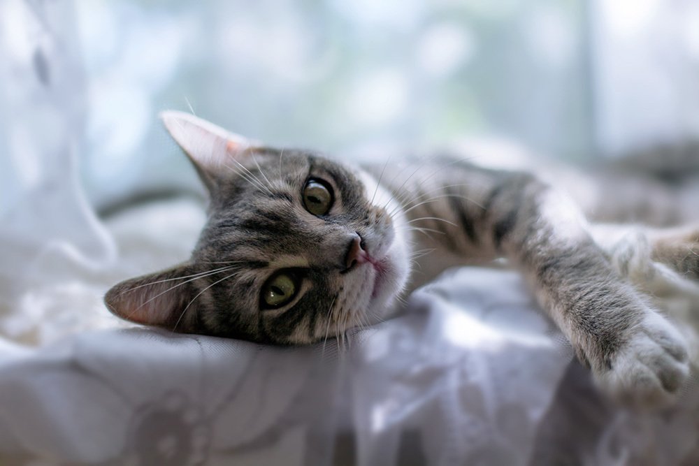 Photograph by Наталья Чиж