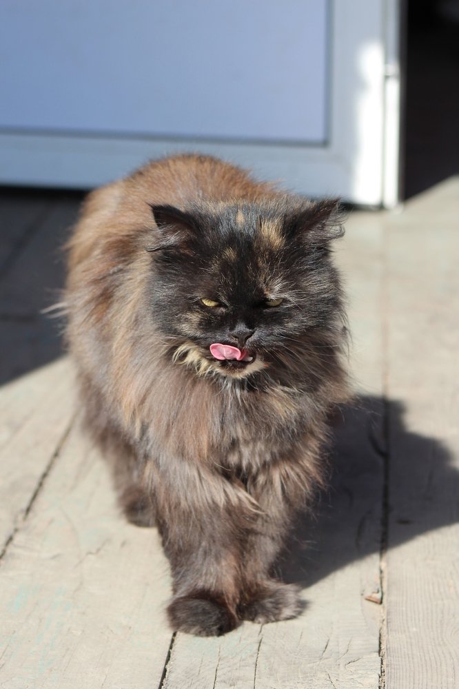 Photograph by Наталья Горбачева