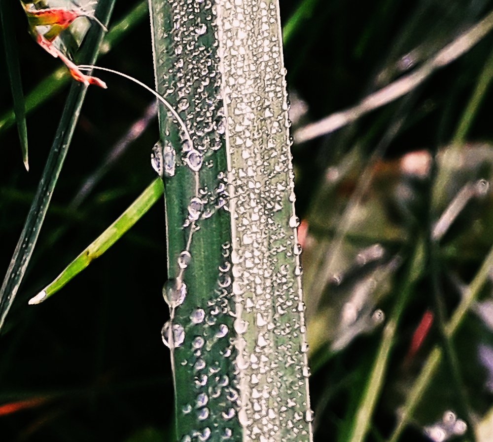 Photograph by Алиса Фокина