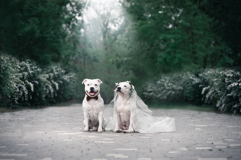 Photograph by Галина Ледок