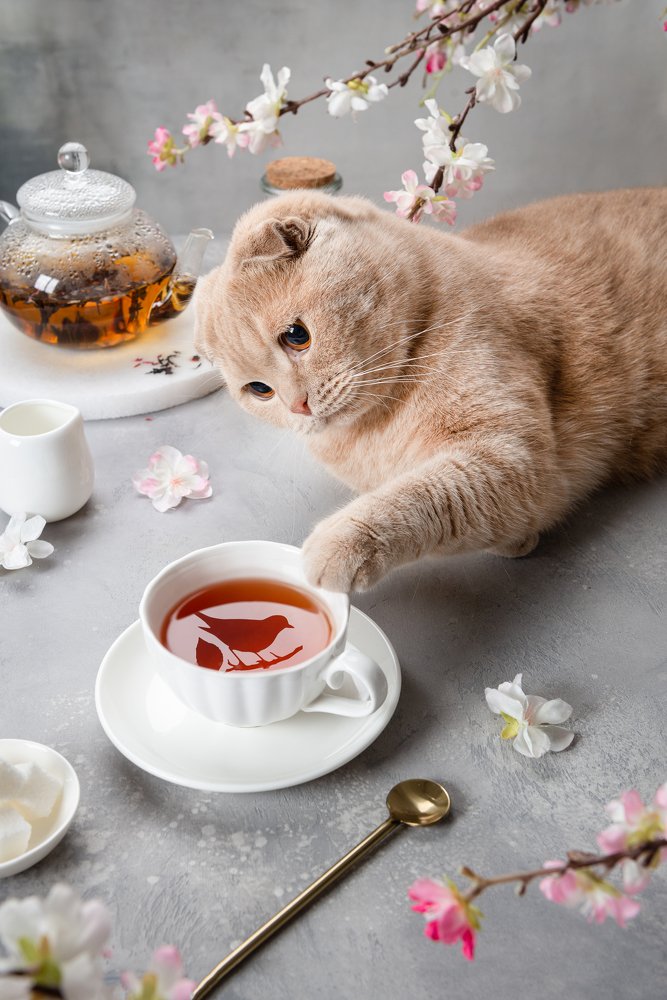 Photograph by Дина Криштопчик