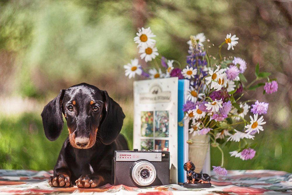 Photograph by Ольга Мурзина