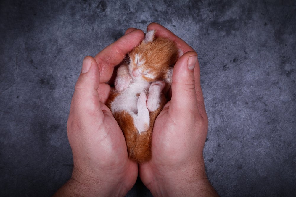 Photograph by Светлана Воскресенская