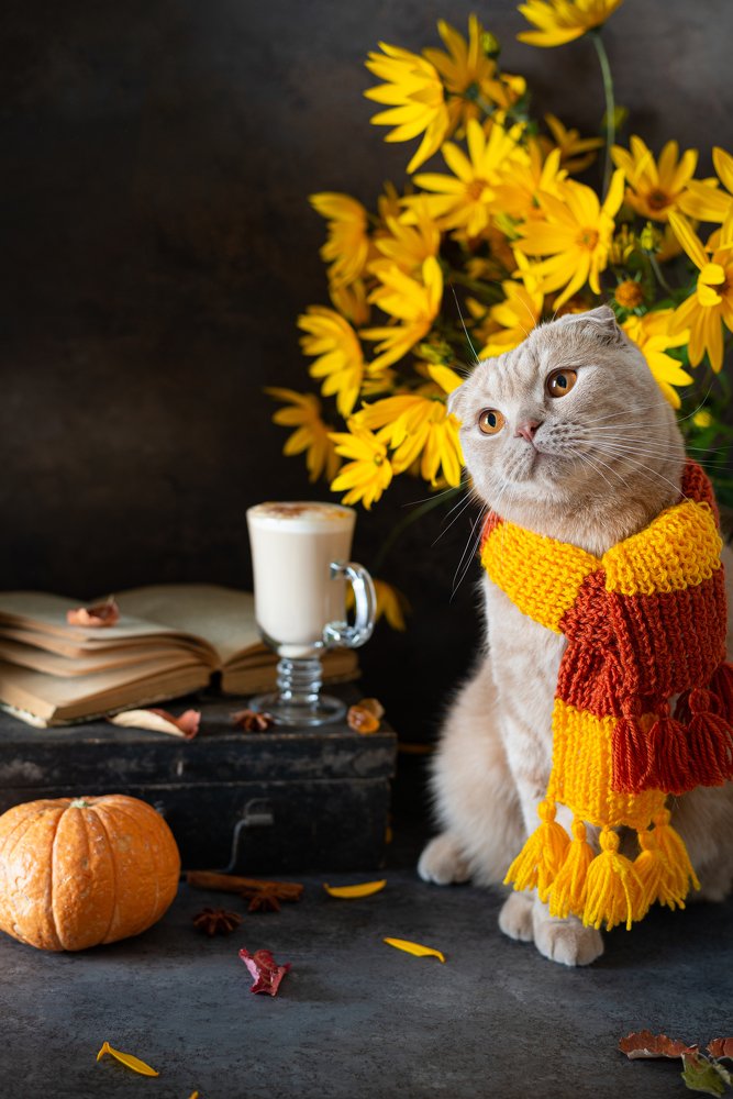 Photograph by Дина Криштопчик