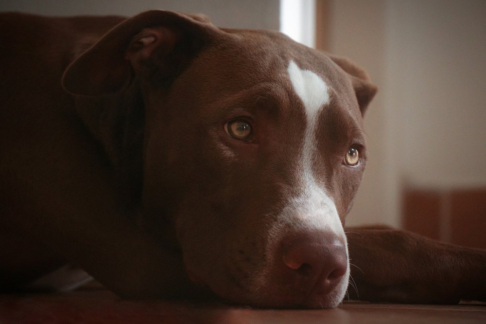 Photograph by Milana Model