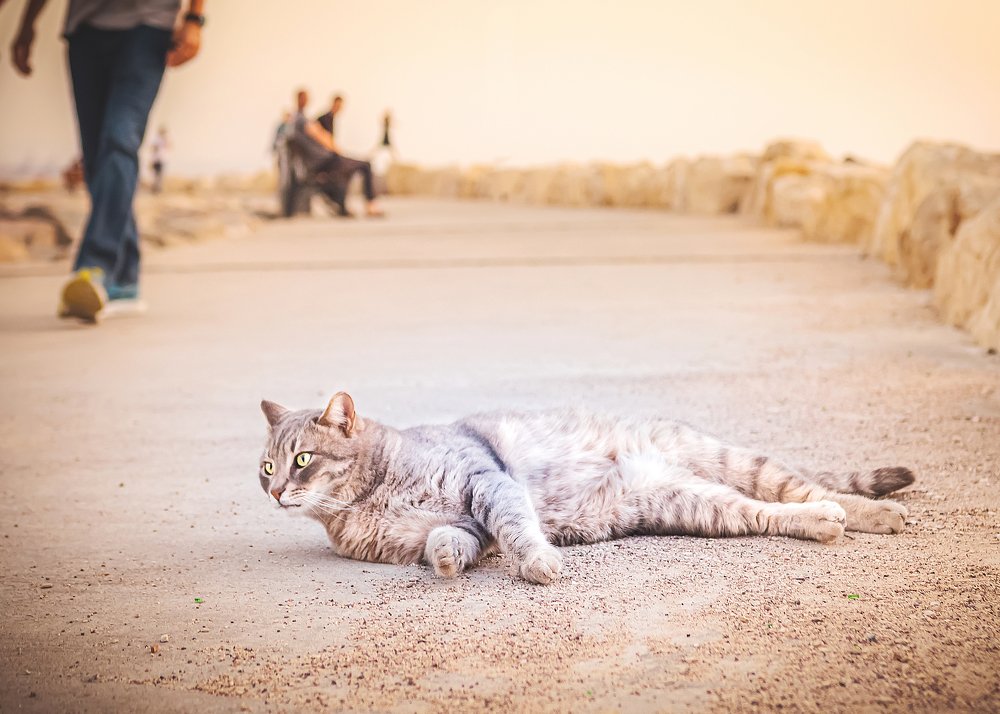 Photograph by Milana Model