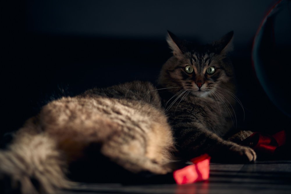 Photograph by Алексей Сафонов