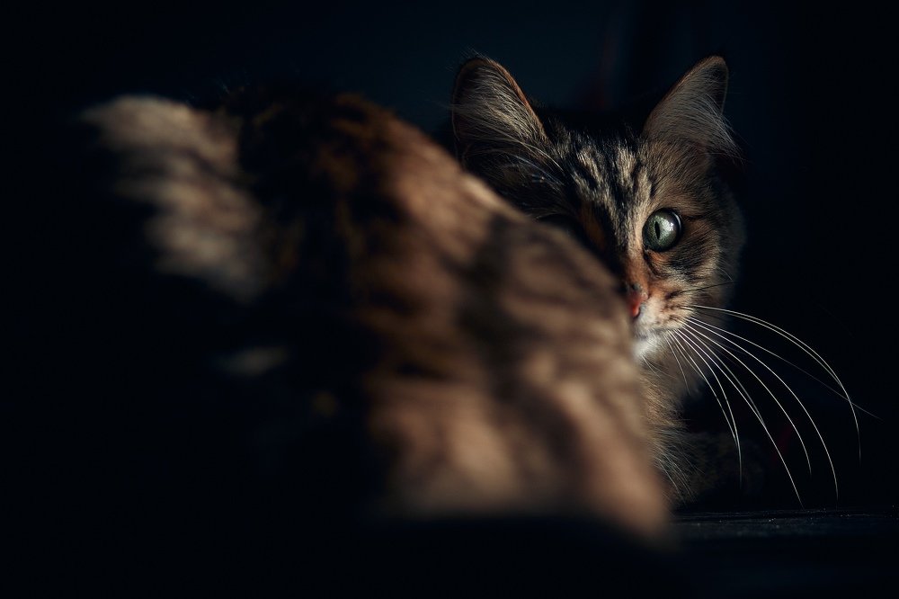 Photograph by Алексей Сафонов