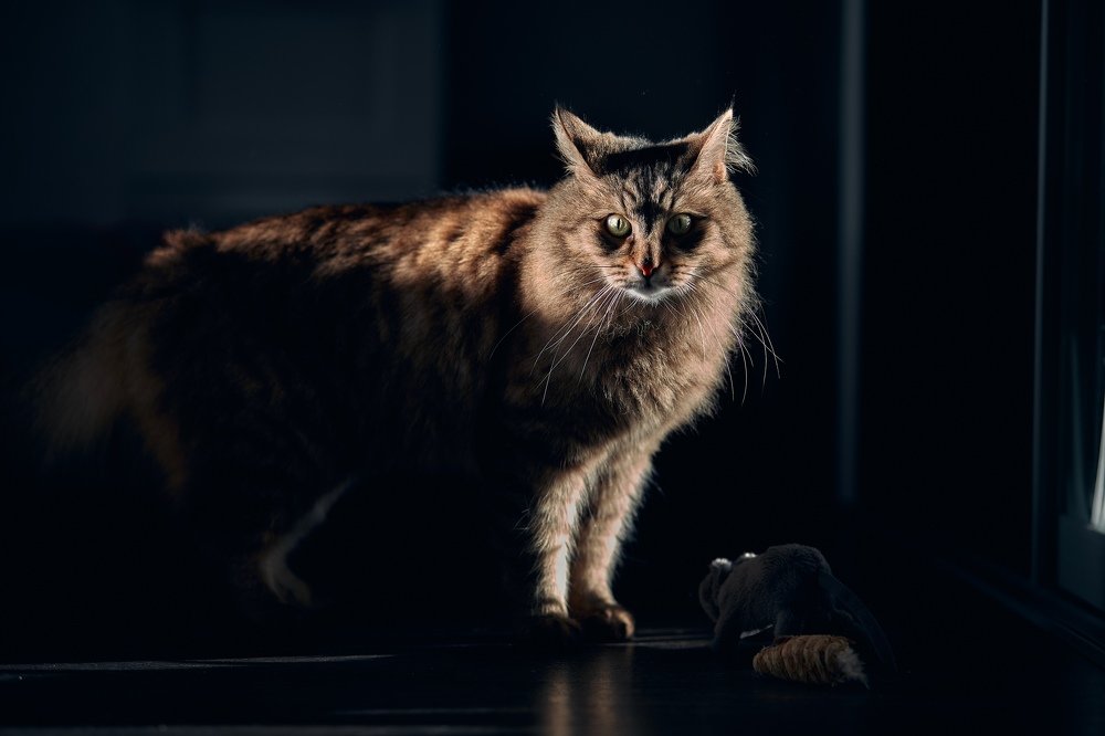 Photograph by Алексей Сафонов