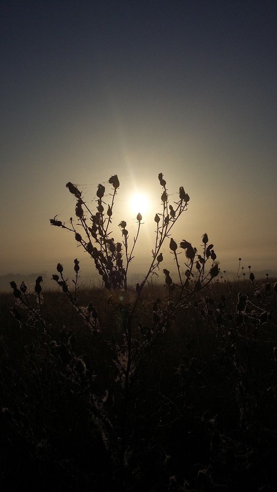 Photo #4977090