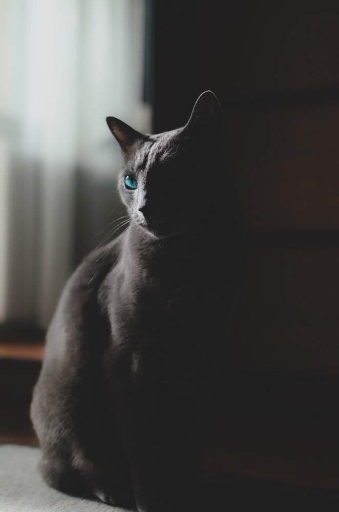 Photograph by Ольга Мукина