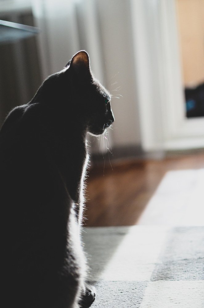 Photograph by Ольга Мукина