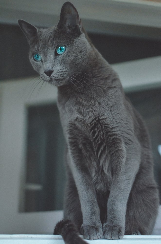 Photograph by Ольга Мукина