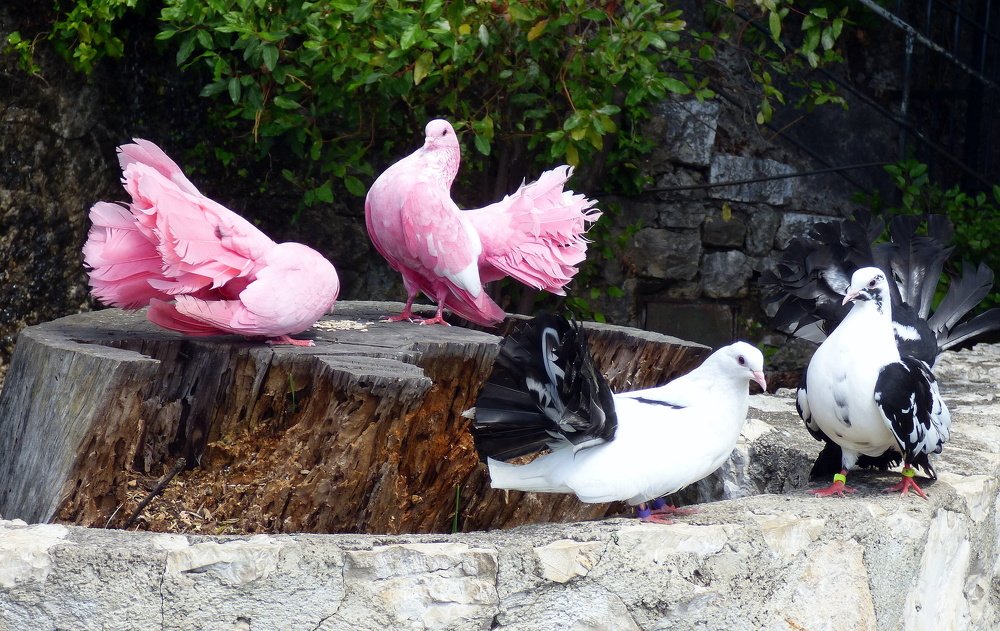 Photograph by Pjotr Alekseev