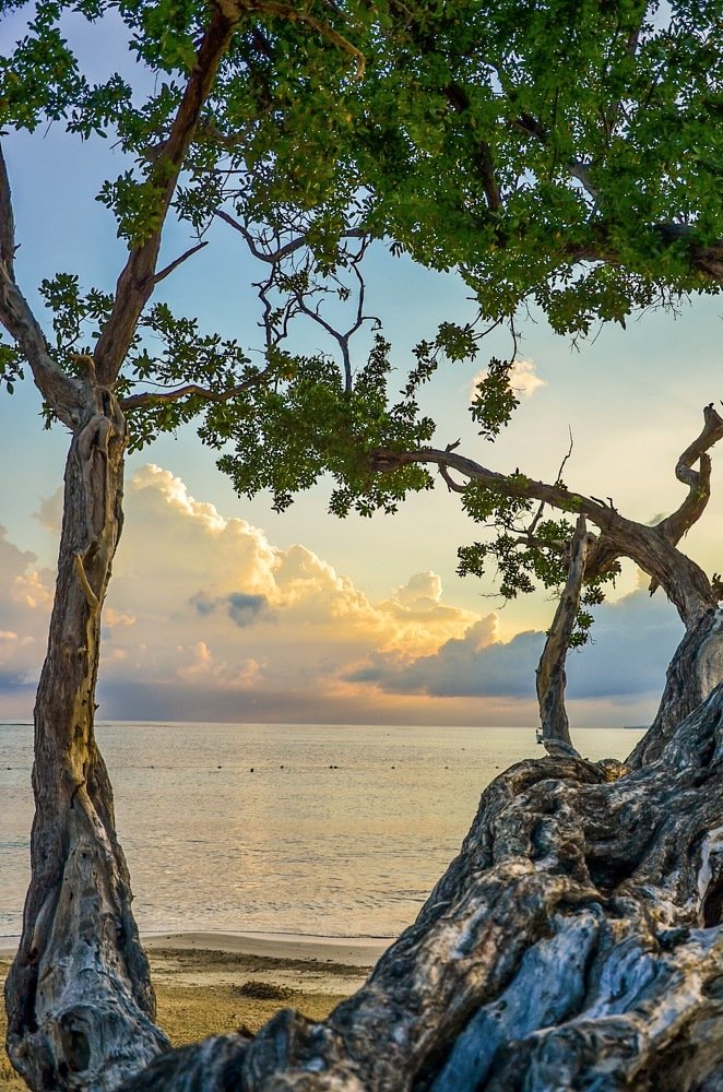 Photograph by Ольга Мукина