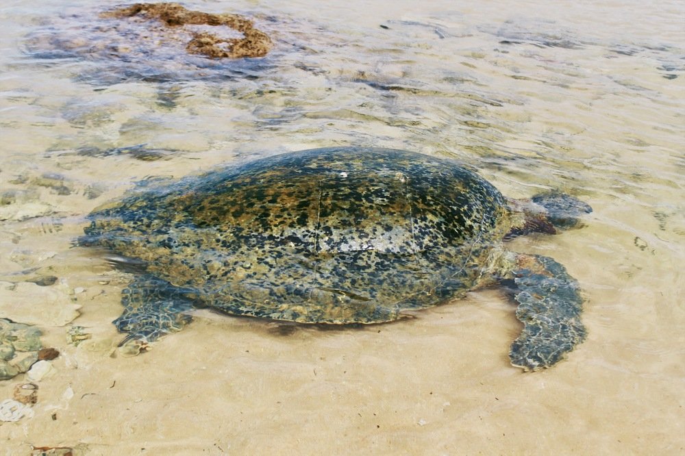 Photograph by Ольга Мукина