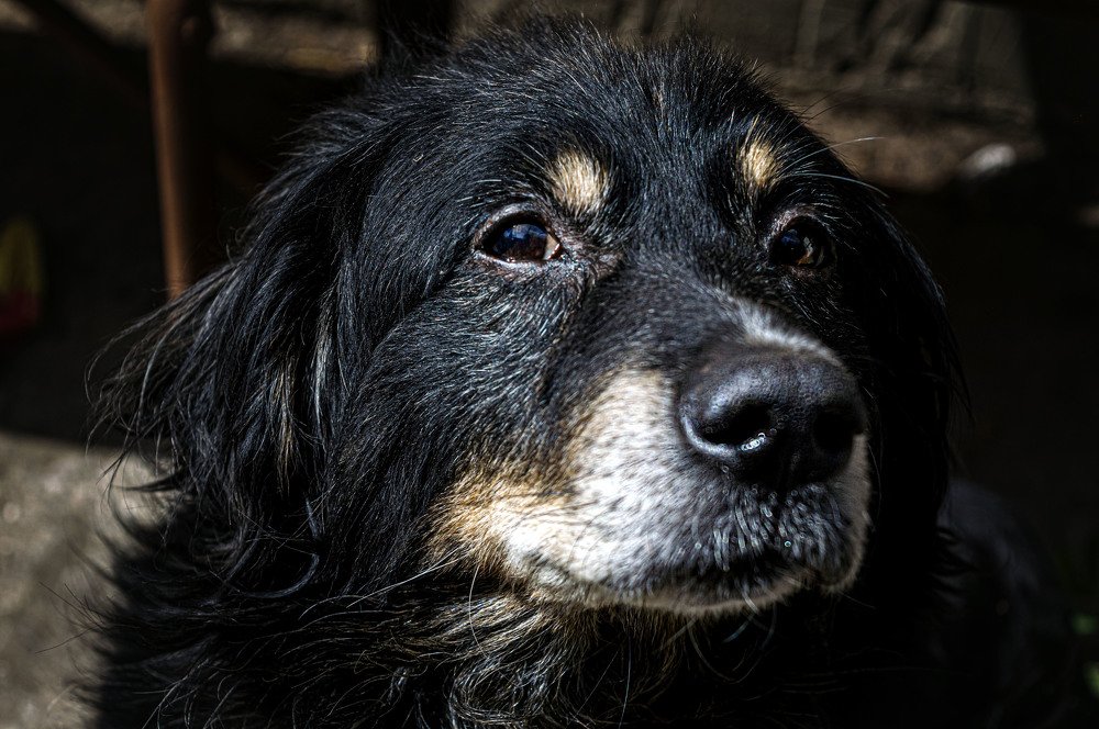 Photograph by Ирина Федорова