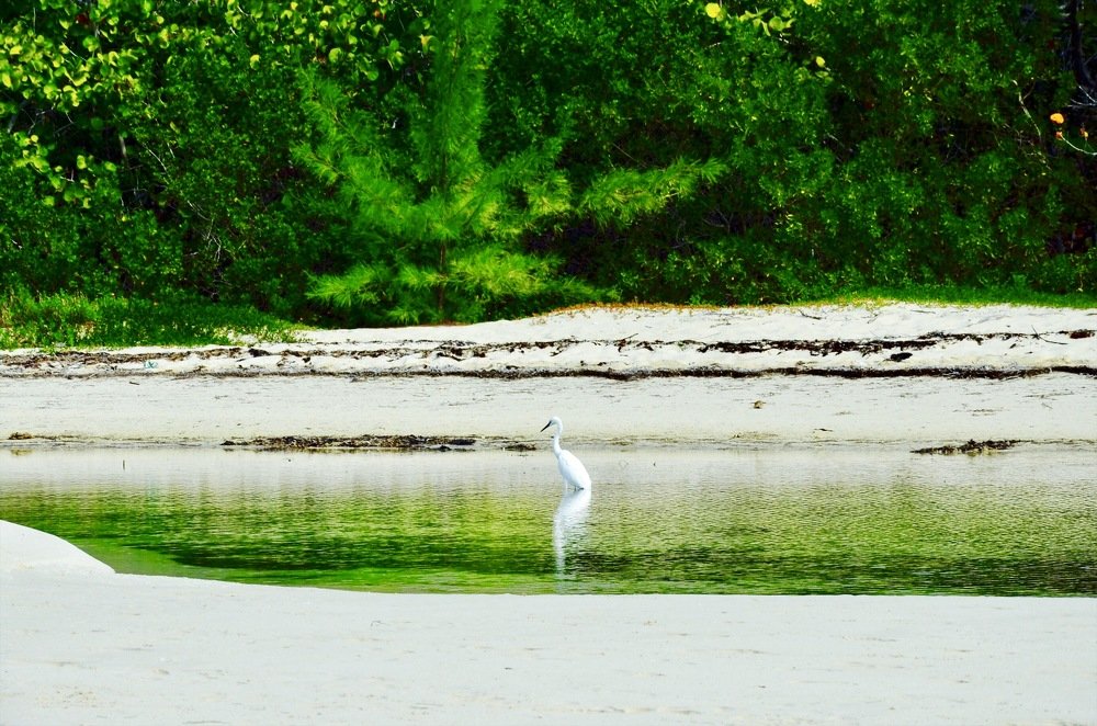 Photograph by Ольга Мукина