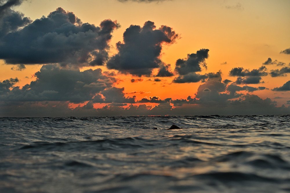 Photograph by Денис Черепко