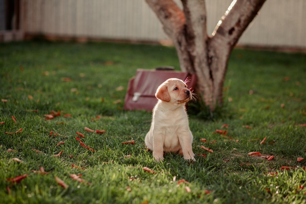 Photograph by Nina Zaytseva