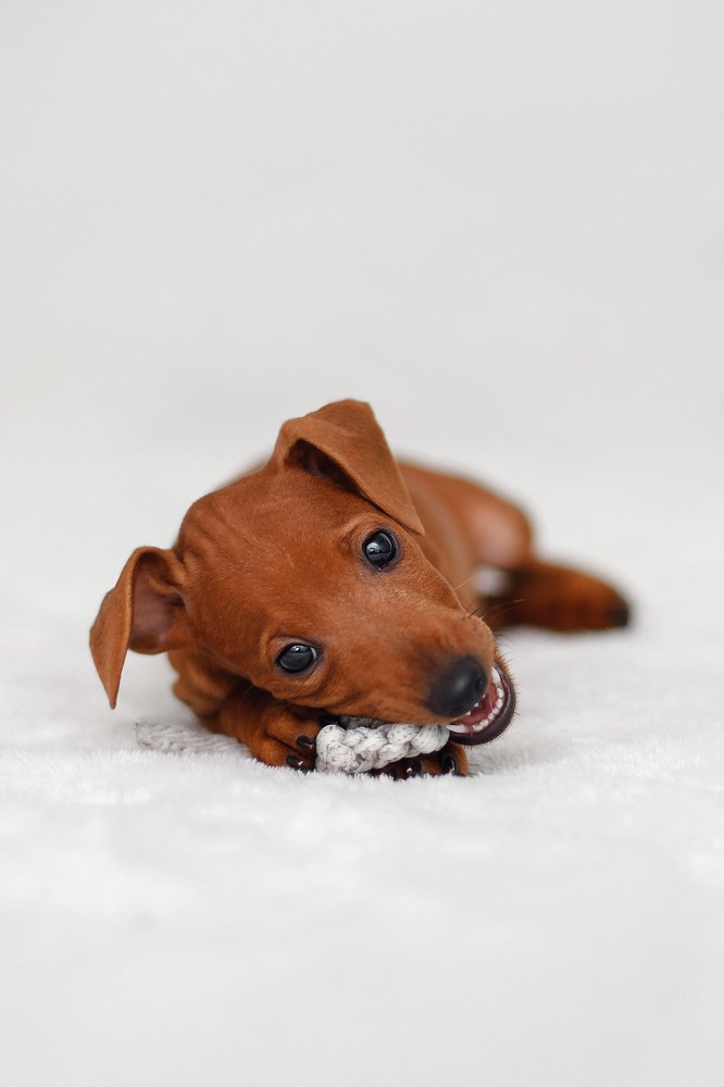 Photograph by Лера Васильчева
