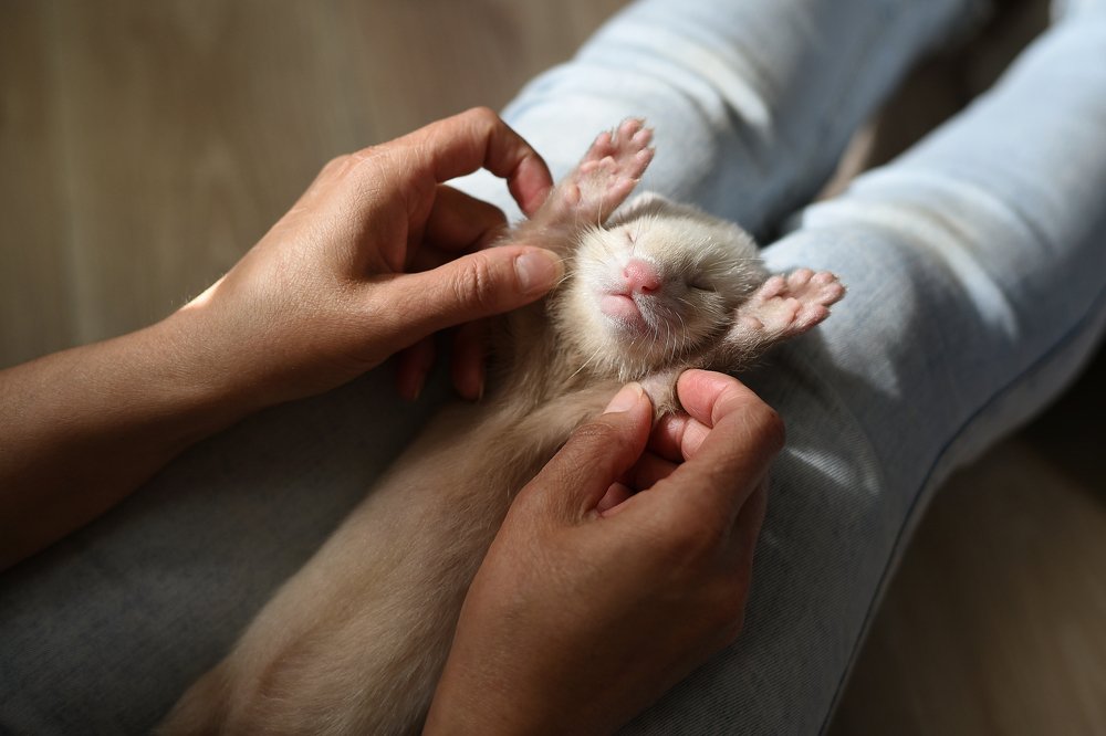 Солнечные ванны