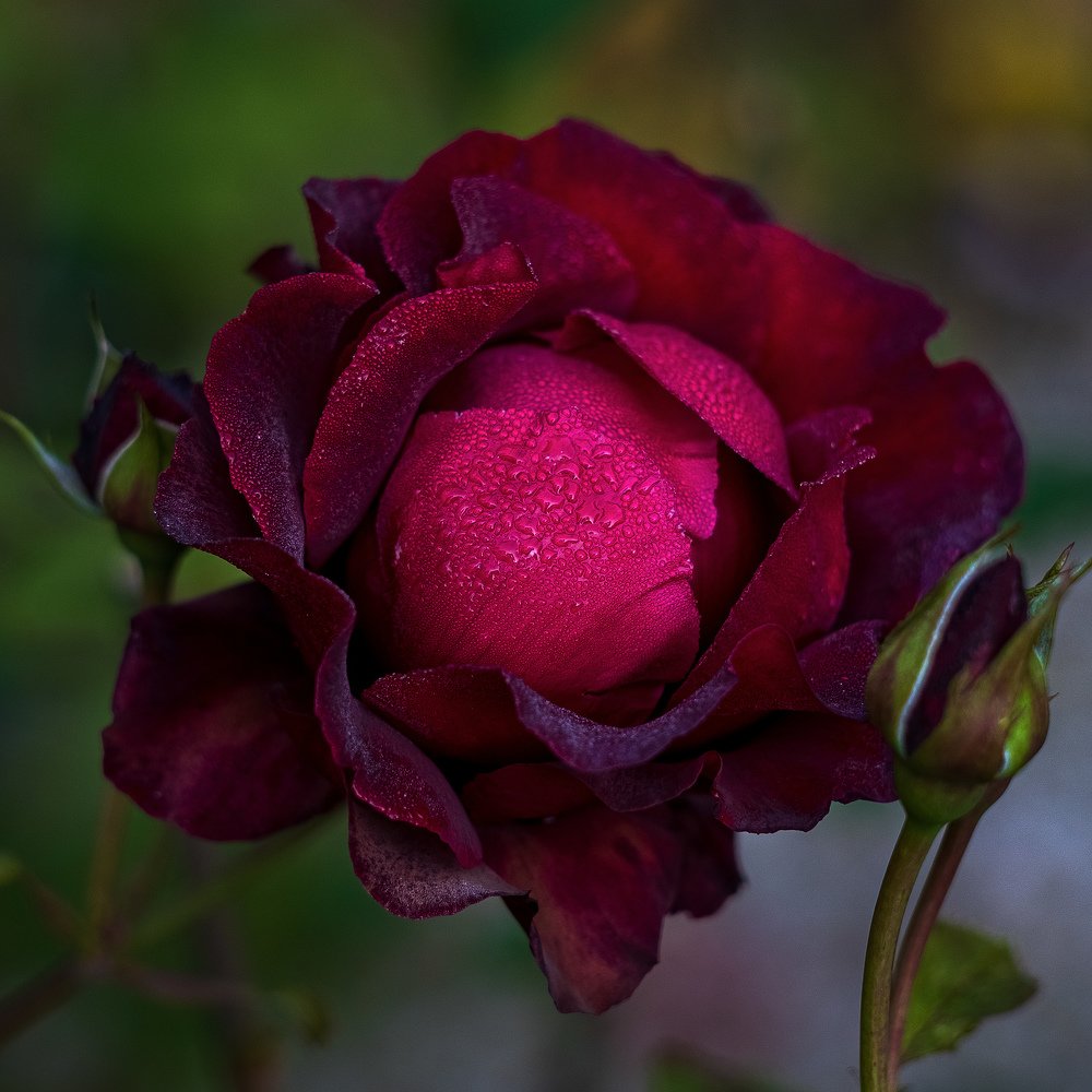 Photograph by Александр Игнатьев