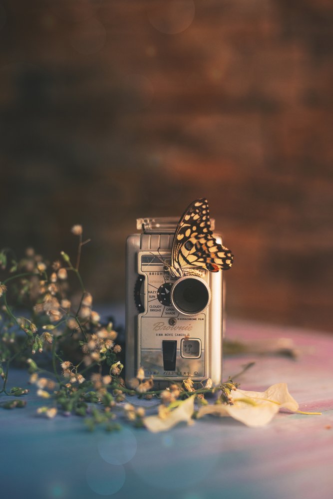 Photograph by ana correia