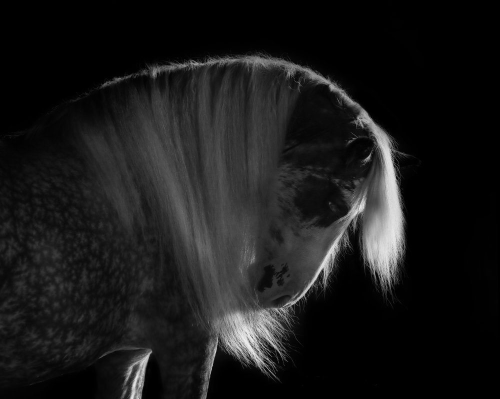 Photograph by Afonso Rodrigues