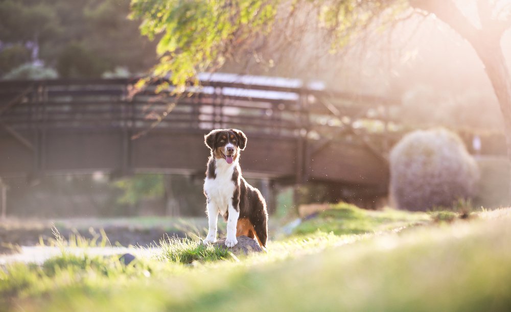 Photograph by Afonso Rodrigues