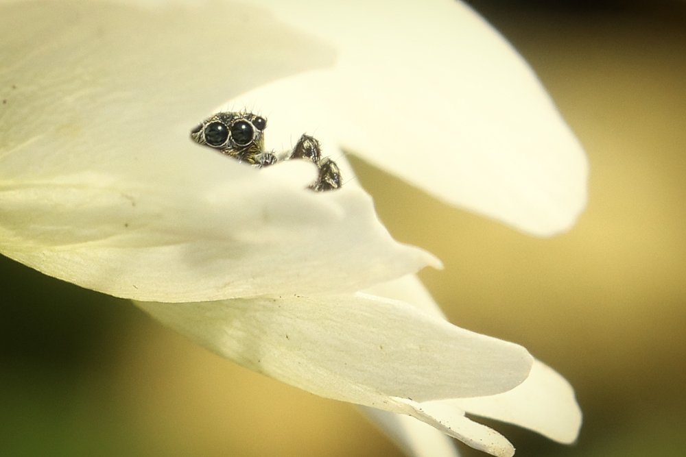 Photograph by Наталья Викарчук