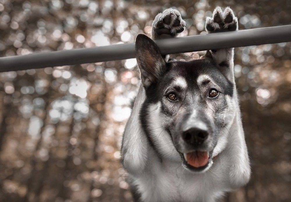 Photograph by Ольга Овчинникова