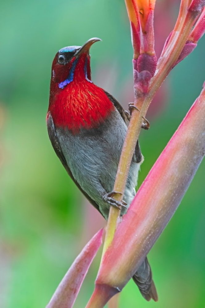 Photograph by Akshay Gotkhindi