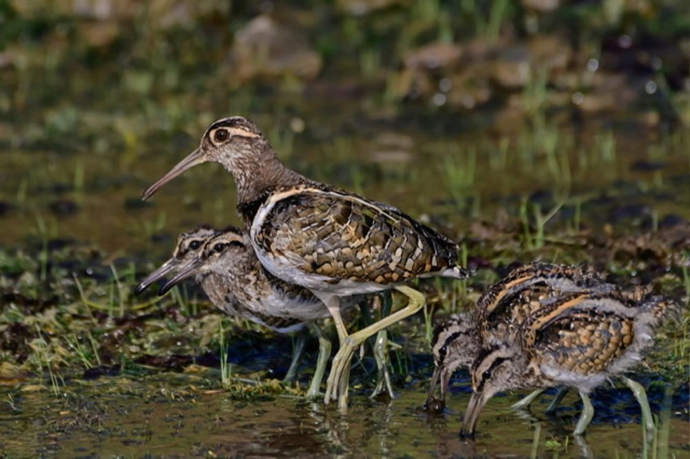 Photograph by Akshay Gotkhindi