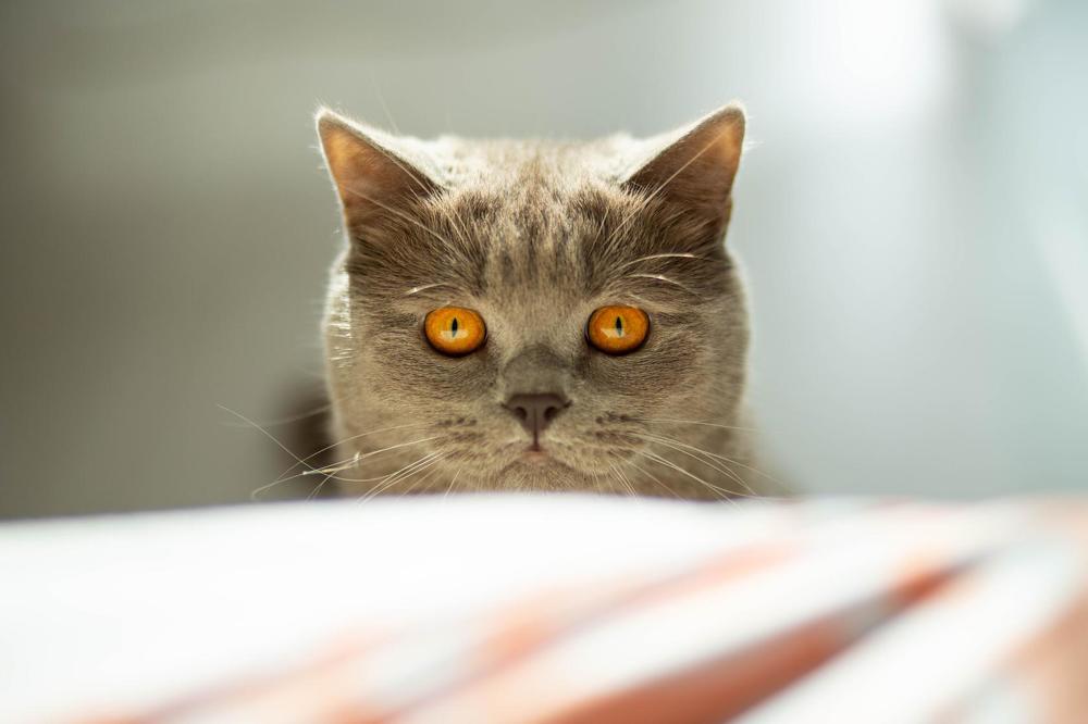 Photograph by Ирина Травникова