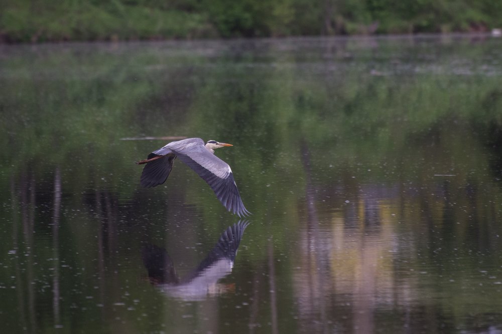 Photograph by Ekaterina Fadeeva