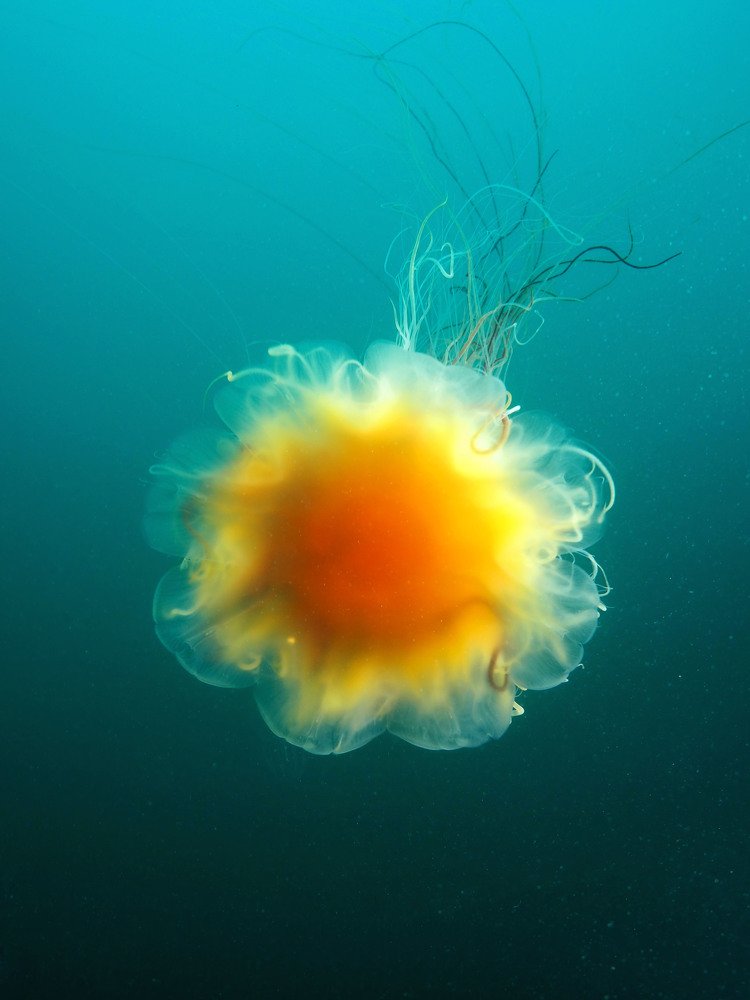 Photograph by Екатерина Владиславовна